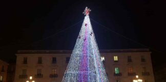 Albero di Natale, piazza Università, Catania