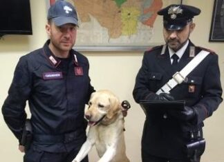 cane Ivan carabinieri Giarre