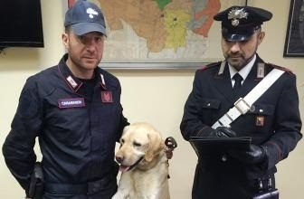 cane Ivan carabinieri Giarre