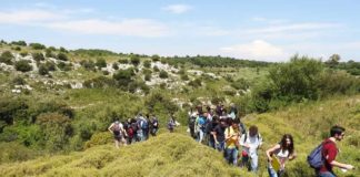Cutgana, studenti Ateneo a lezione di biodiversità 26 aprile 2017