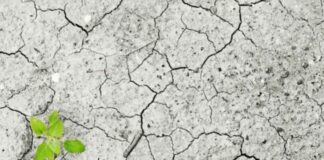 Siccità ad Agrigento, Federconsumatori: il cambiamento climatico presenta il conto APERTURA-HASHTAG-SICILIA-NEWS-NOTIZIE-GIORNALE-ONLINE-OGGI-NOTIZIA-DEL-GIORNO-REDAZIONE - SICCITà - TERRA ARIDA - AGRICOLTURA - CONFAGRICOLTURA - CRISI IDRICA -