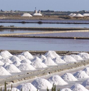 Via libera dal Ministero dell’Ambiente alla candidatura al MaB Unesco delle “Saline di Sicilia” quale “Riserva della Biosfera” SALINE DI SICILIA UNESCO - APERTURA-HASHTAG-SICILIA-NEWS-NOTIZIE-GIORNALE-ONLINE-OGGI-NOTIZIA-DEL-GIORNO-REDAZIONE (8)