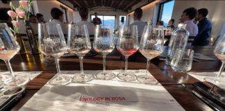 Enology in Rosa 2026, 8 anni di passione rosa: il contest che celebra gli enologi e l’identità del territorio del vino