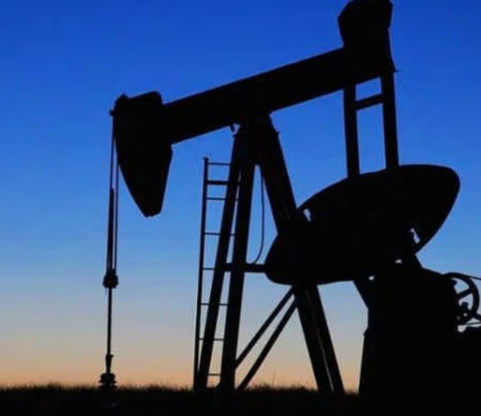 Petrolio e gas, Greenpeace, Legambiente e WWF contro le nuove trivellazioni: «Riserve insufficienti, l’Italia punti sulle rinnovabili»