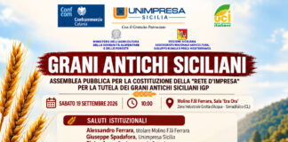 Grani Antichi Siciliani, dalla Rete d’Impresa al riconoscimento IGP: a Serradifalco si presenta il disciplinare