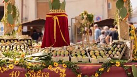 Fico d’India: una pianta simbolo della Sicilia. A San Cono la Sagra che celebra un’eccellenza siciliana