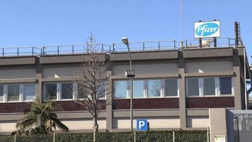 Pfizer Catania, FIALC CISAL non firma l’accordo sugli esuberi: “Procedura non condivisa, tre mesi persi e nessuna soluzione per il futuro dello stabilimento”