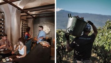 Una cantina dell’Etna nel cuore di Catania: Tenute dei Ciclopi porta l’esperienza del vino in città