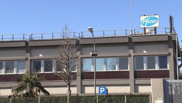 Pfizer Catania, la FIALC CISAL boccia l’accordo sugli esuberi: “Proroga non è una vittoria, pronti alle vie legali”